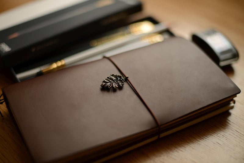 Travel Organizer